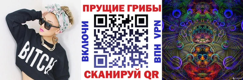 Купить закладки  Кадников  Галлюциногенные грибы Psilocybe 